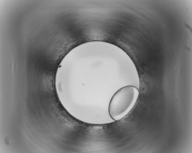 X0000102790162200808181001