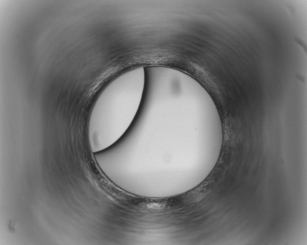 X0000102790163200808181001