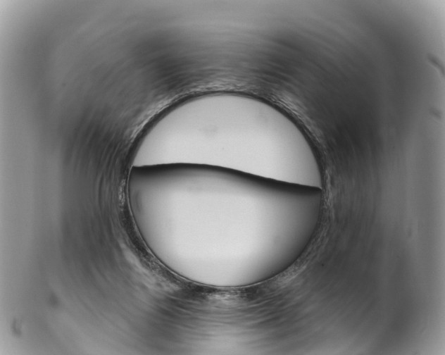 X0000102790164200808181001