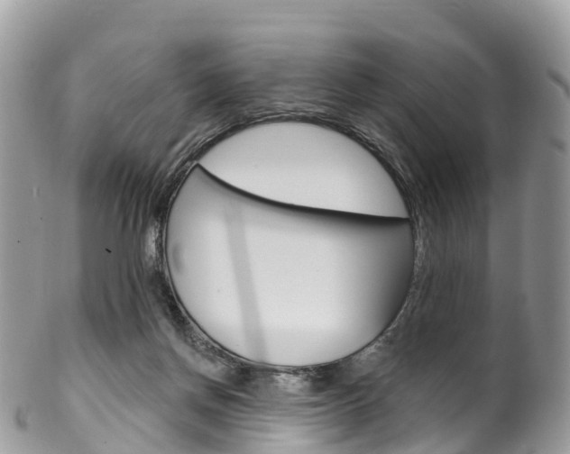 X0000102790166200808181001