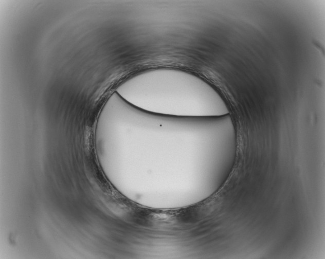X0000102790167200808181001