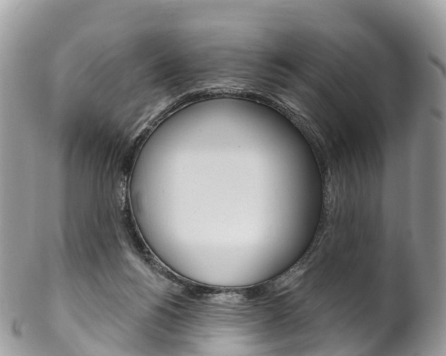 X0000102790168200808181001