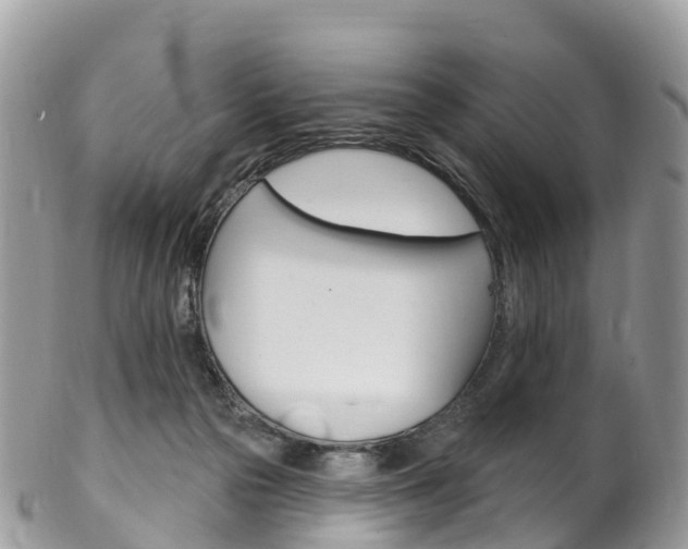 X0000102790169200808181001