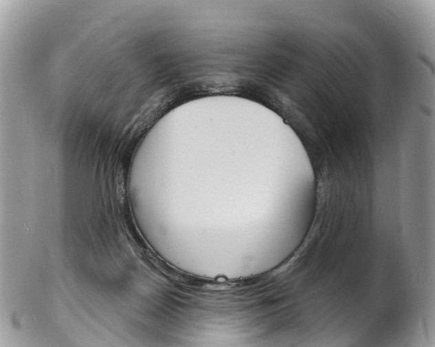 X0000102790170200808181001