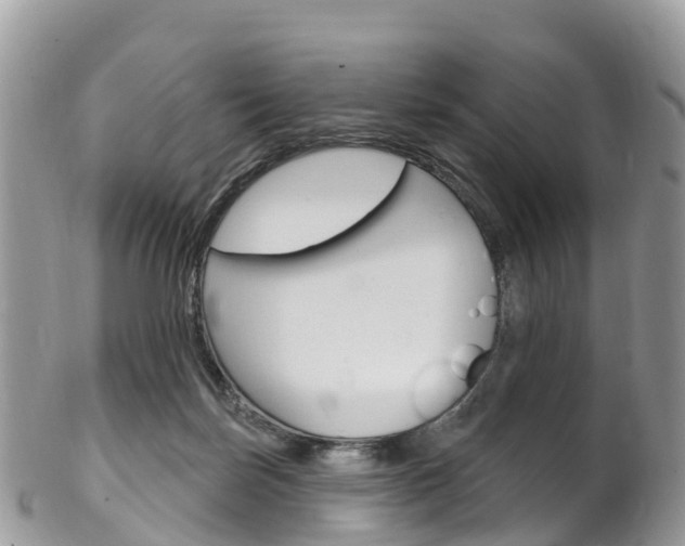 X0000102790171200808181001