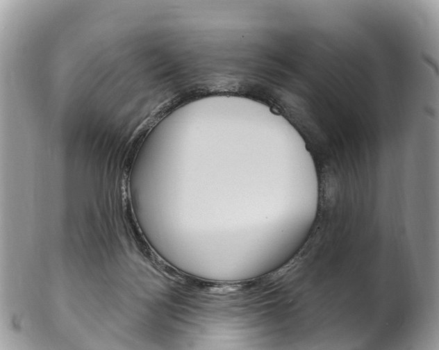 X0000102790172200808181001