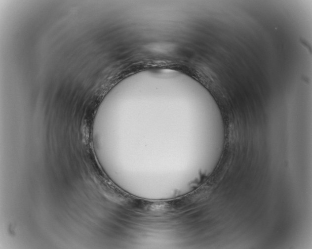 X0000102790173200808181001