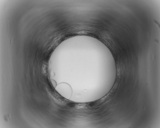 X0000102790175200808181001