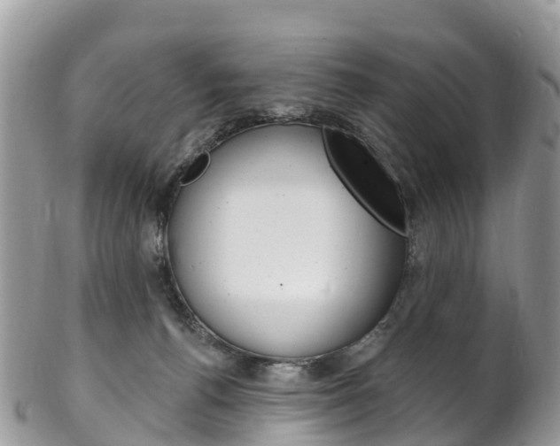 X0000102790176200808181001