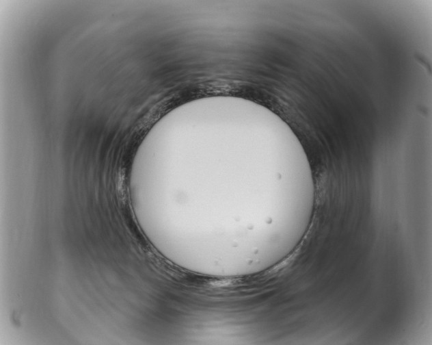 X0000102790178200808181002