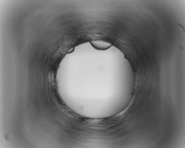 X0000102790182200808181002