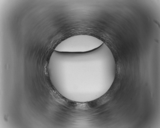 X0000102790185200808181002