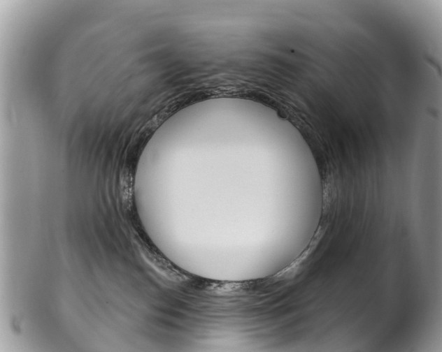 X0000102790186200808181002