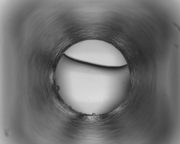 X0000102790188200808181002