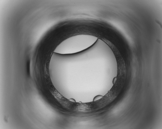X0000102790189200808181002