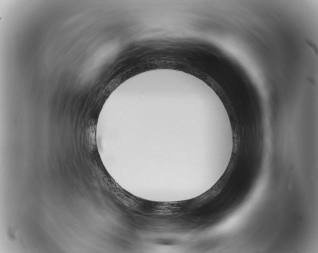 X0000102790190200808181002