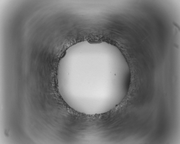 X0000102790192200808181002