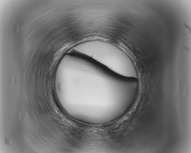 X0000102790193200808181001