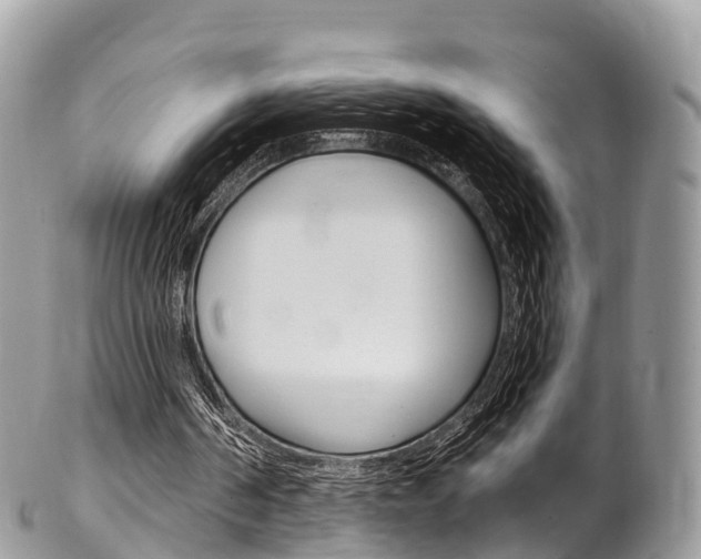 X0000102790194200808181001