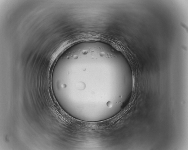 X0000102790195200808181001