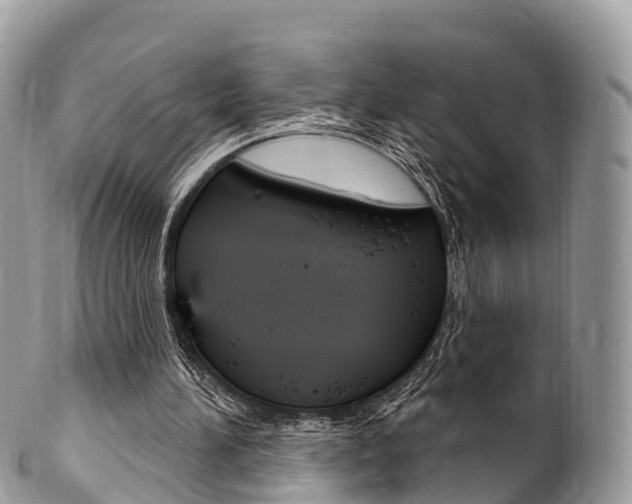 X0000102790196200808181001