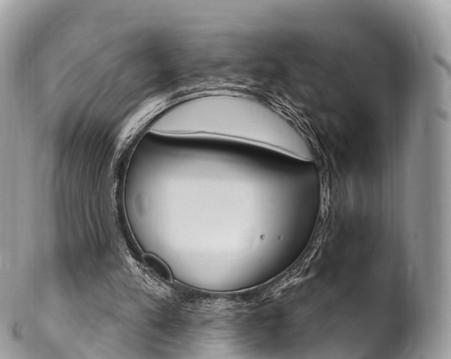 X0000102790197200808181001