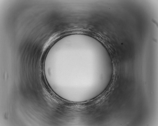 X0000102790198200808181001