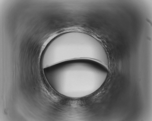 X0000102790200200808181001