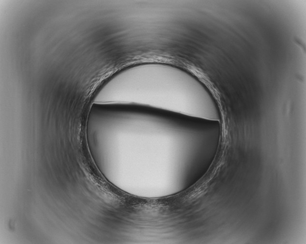 X0000102790201200808181001