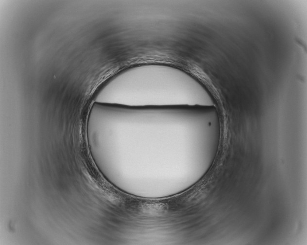 X0000102790202200808181001