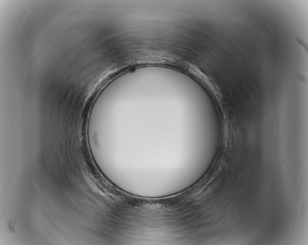 X0000102790203200808181001