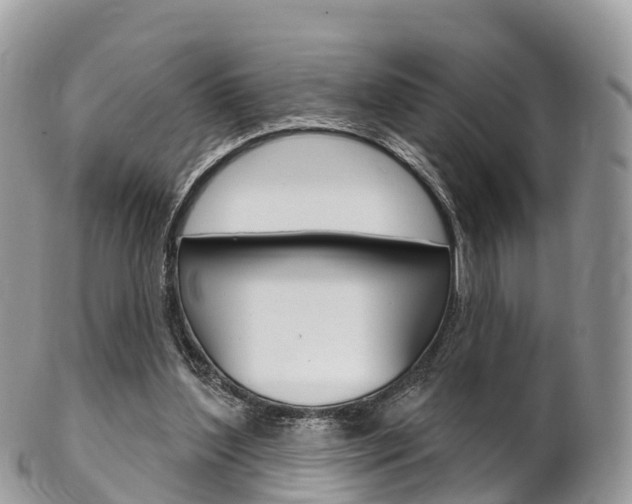 X0000102790204200808181001
