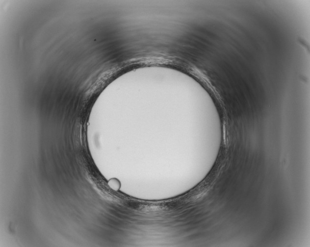 X0000102790205200808181001
