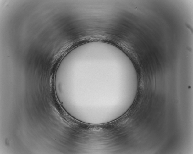 X0000102790206200808181001
