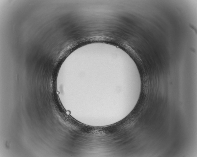 X0000102790207200808181001