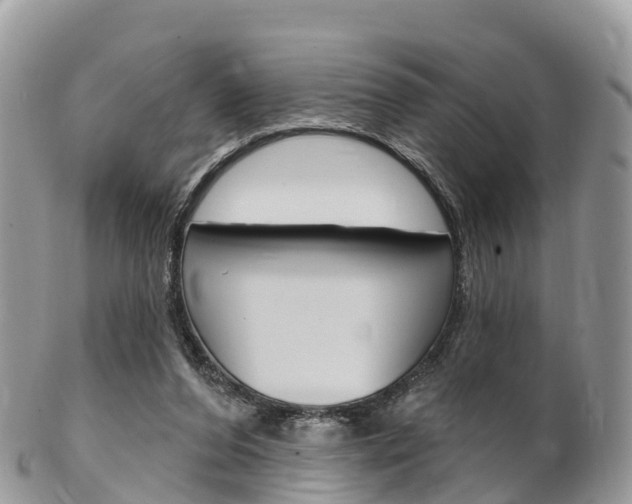 X0000102790208200808181001