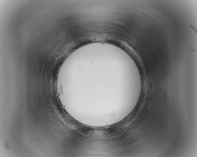 X0000102790209200808181001
