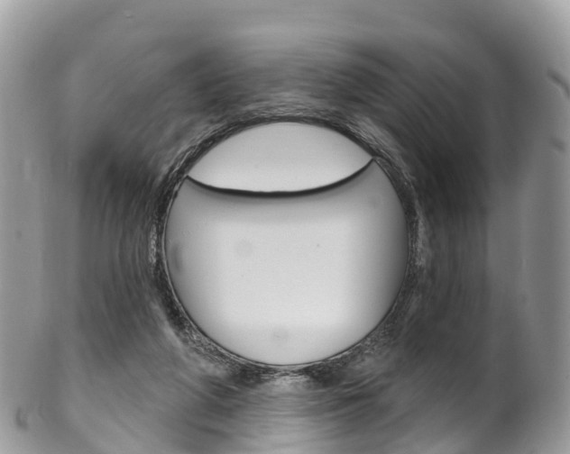 X0000102790210200808181001