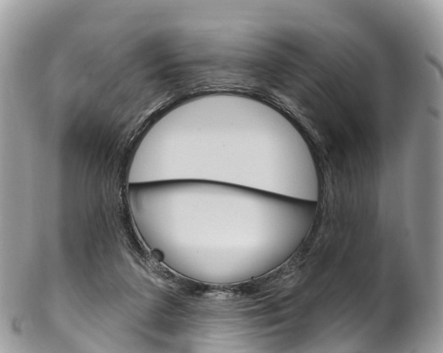 X0000102790211200808181001
