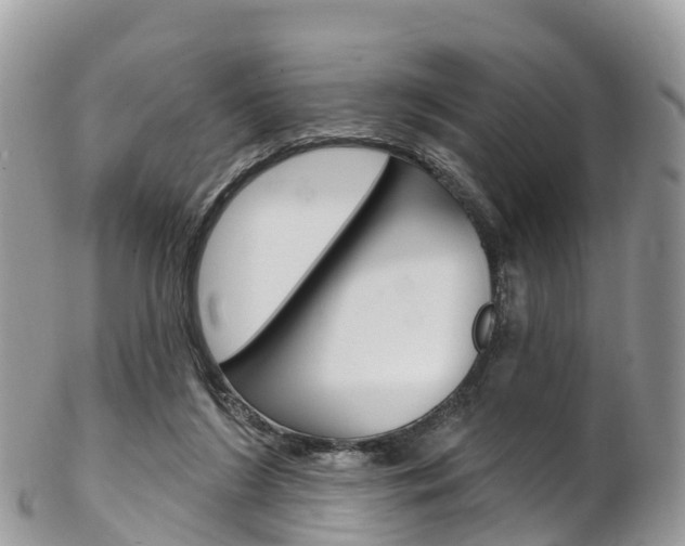 X0000102790212200808181001