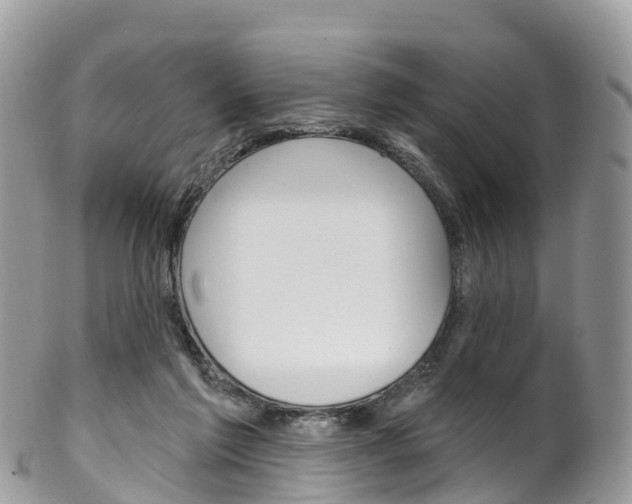 X0000102790213200808181001