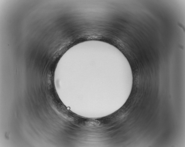 X0000102790215200808181001