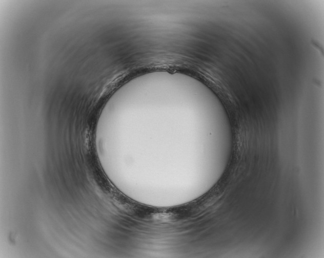 X0000102790216200808181001