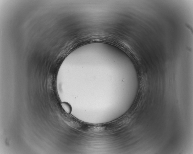 X0000102790217200808181001