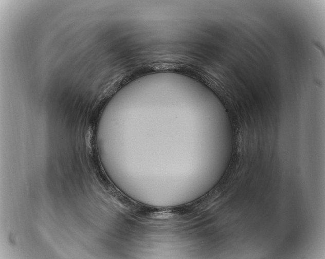 X0000102790219200808181001