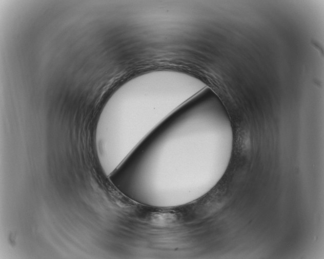 X0000102790220200808181001