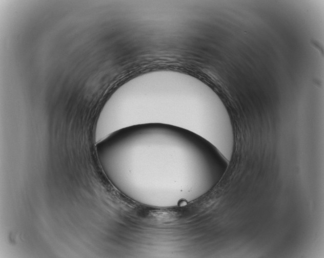 X0000102790221200808181001