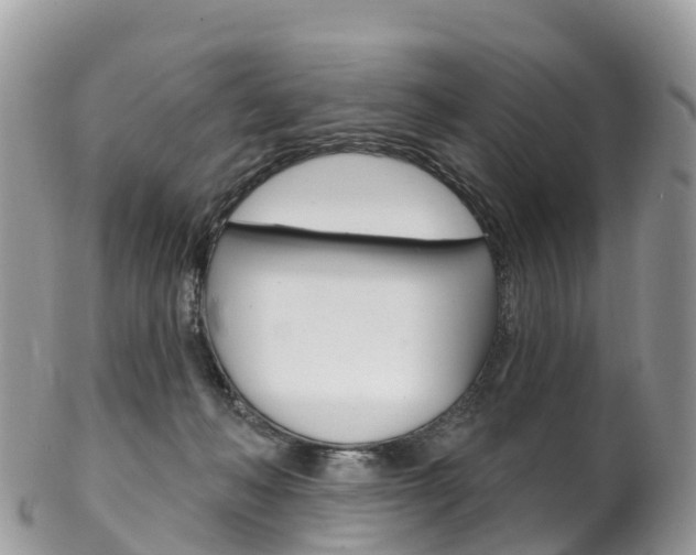 X0000102790222200808181001