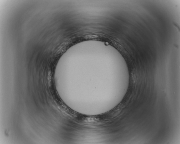 X0000102790223200808181001