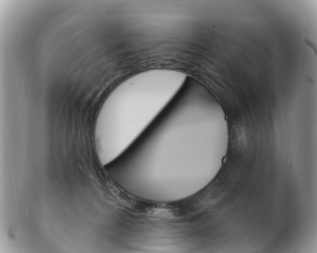 X0000102790224200808181001